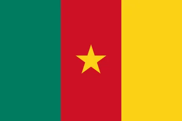 Flag of Cameroon