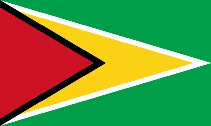 Flag of Guyana