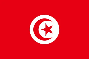 Flag of Tunisia